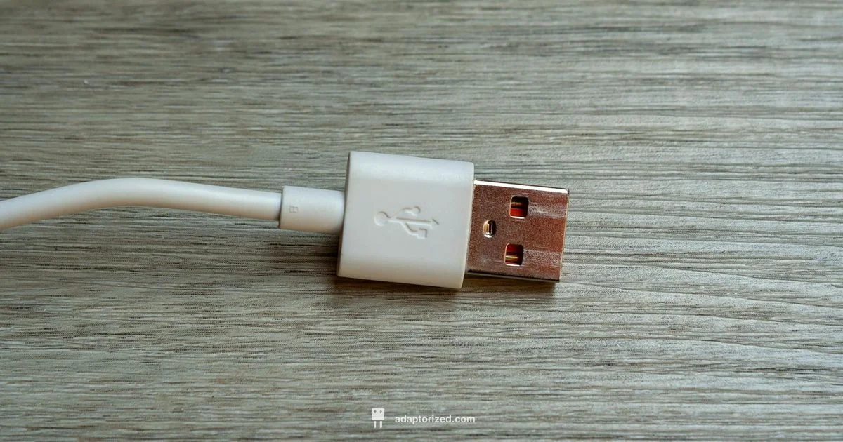 BNC Connector Guide - Adaptorized