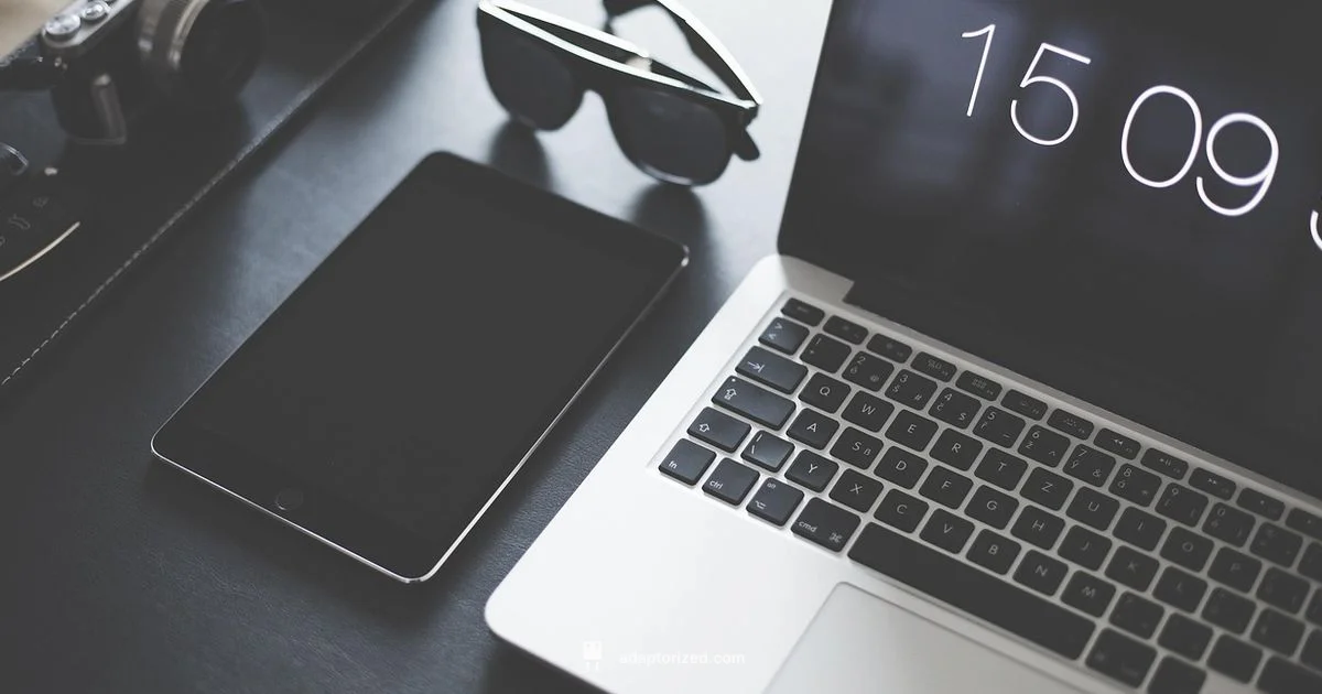 Connector Landscape - Adaptorized