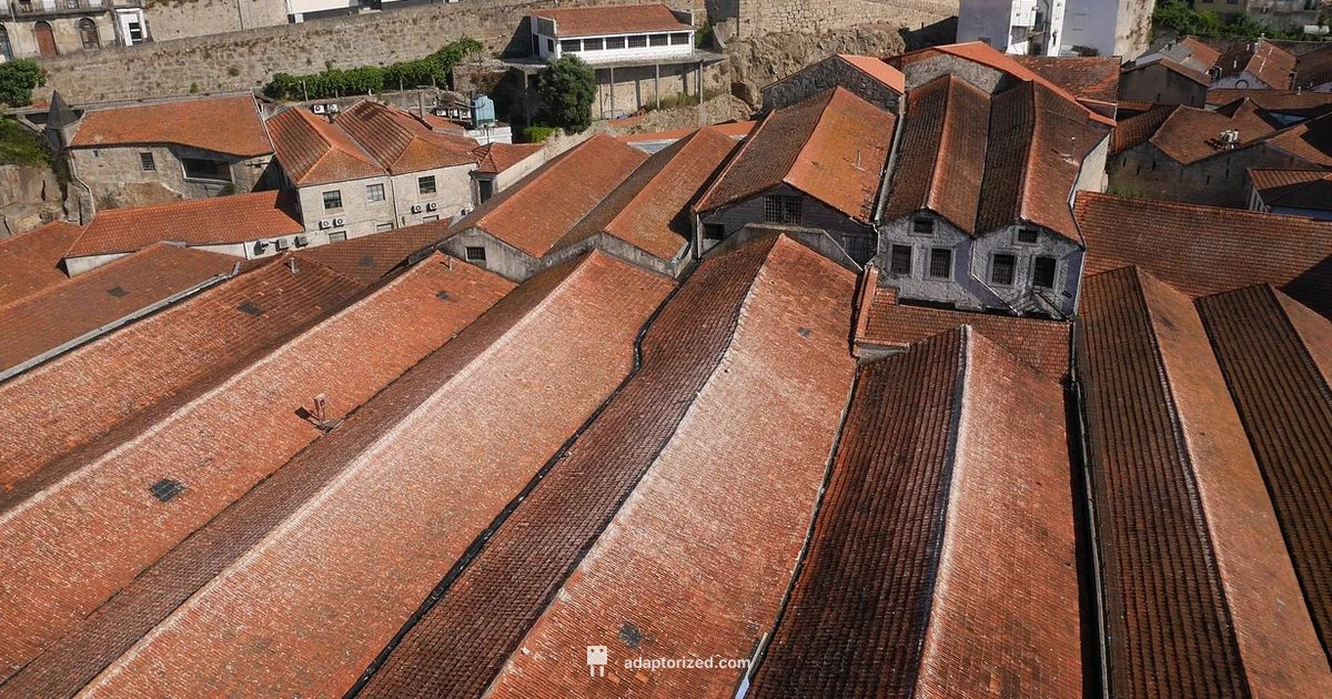 Chilled Port Guide - Adaptorized