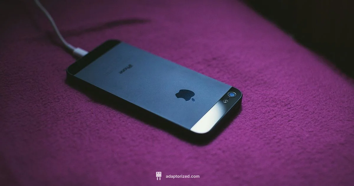 iPhone 16 USB-C - Adaptorized