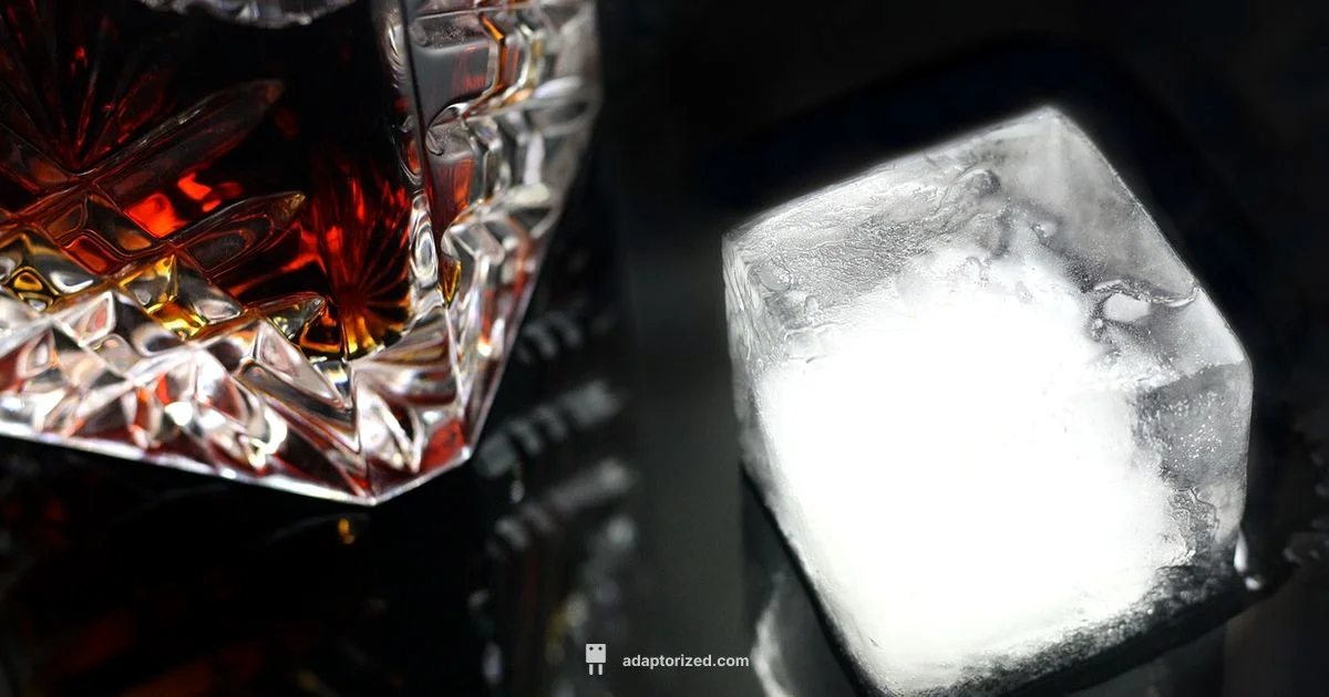 Port vs Sherry Port vs Sherry - Adaptorized