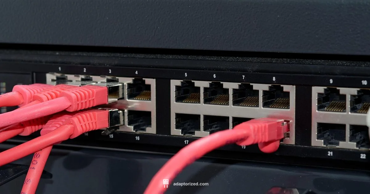 RJ45 Guide - Adaptorized