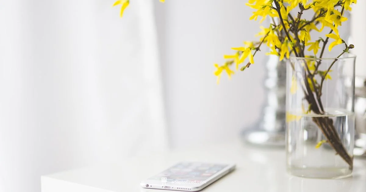 AirTag Pairing Guide - Adaptorized