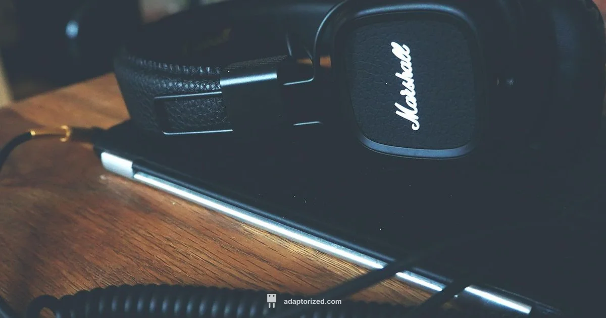 Mini USB Guide Mini USB Guide - Adaptorized