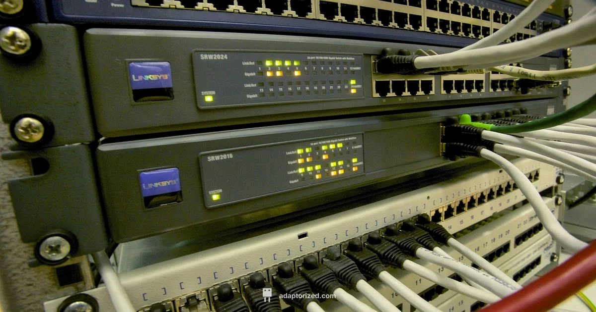 Internet Basics - Adaptorized