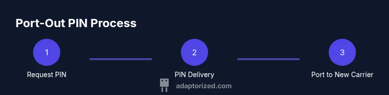 Process diagram for Verizon port-out PIN