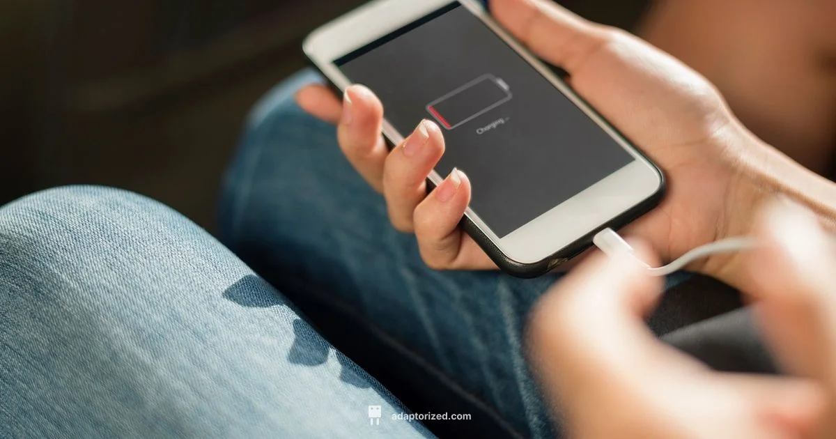 Charging Port Fix - Adaptorized