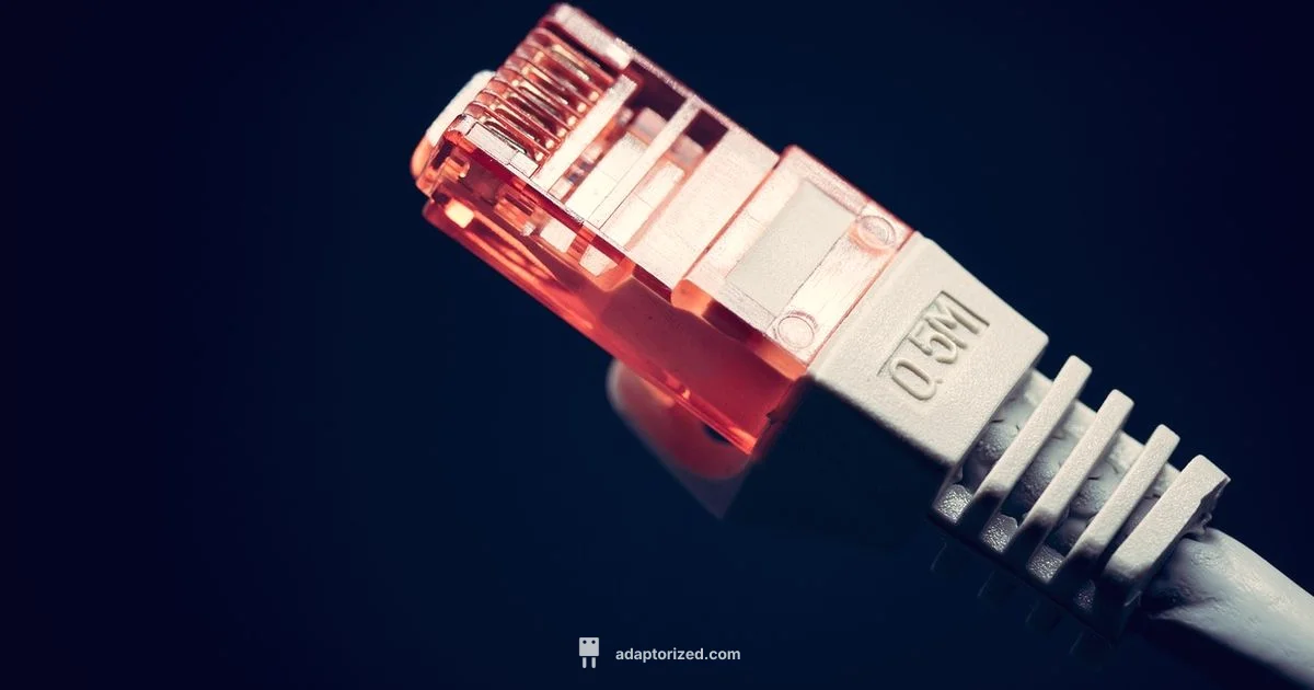 RJ45 Cat6 Connector - Adaptorized