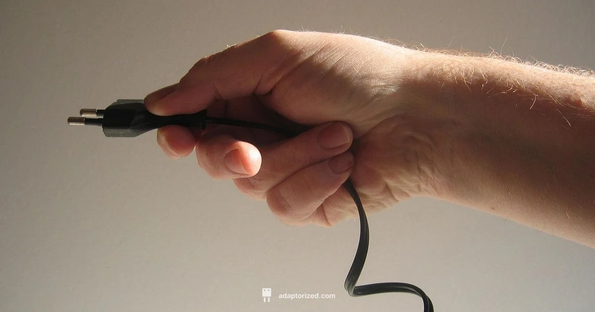 Safe Plug In Guide - Adaptorized