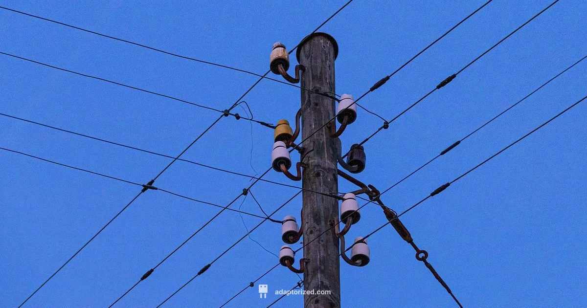 Coaxial Internet Connector Coaxial Internet Connector - Adaptorized