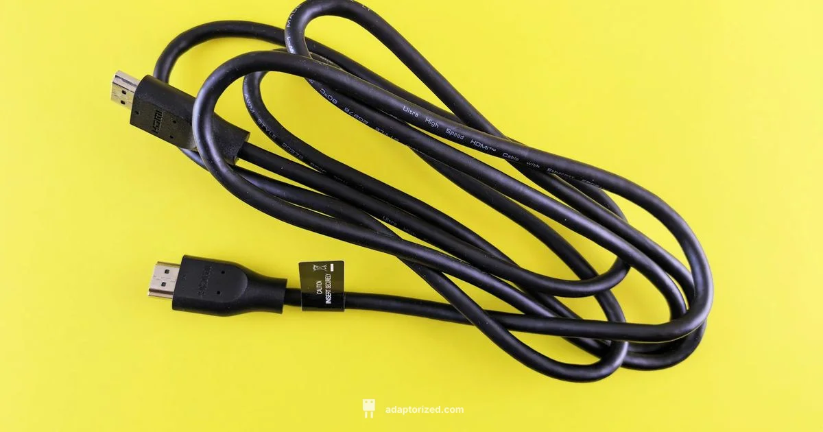 Video Connectors 101 - Adaptorized