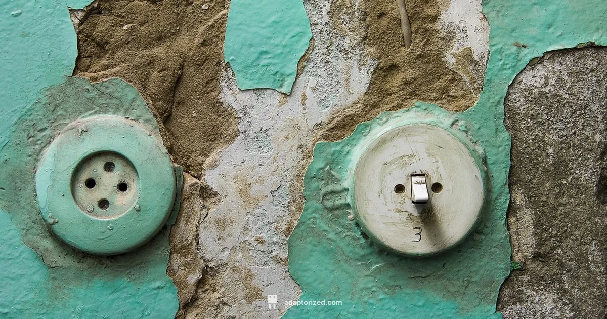 Japan Plug Type Overview Japan Plug Type Overview - Adaptorized