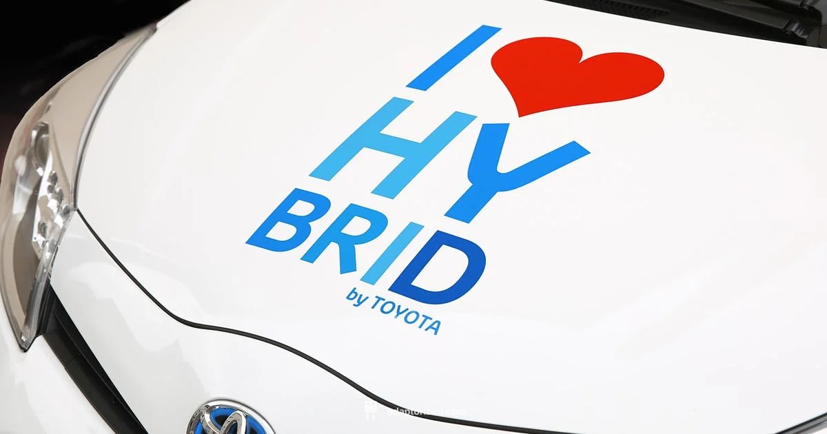 PHEV Makers - Adaptorized