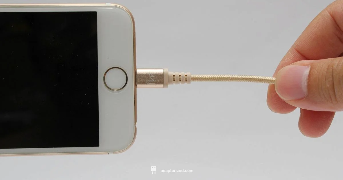 Lightning Cable Guide - Adaptorized