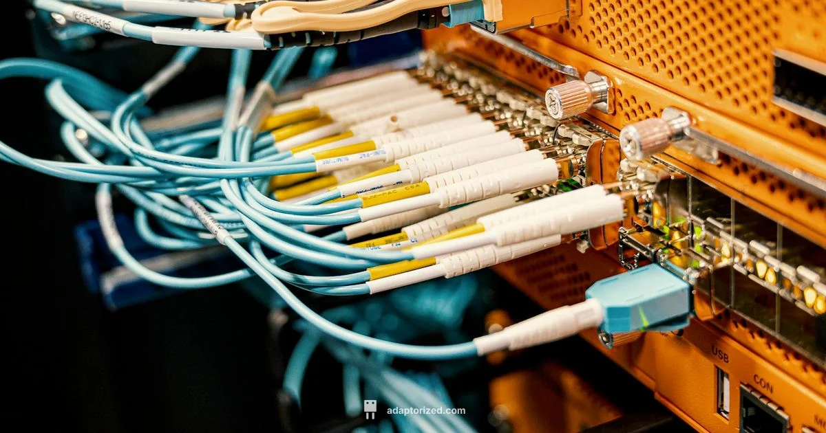 N Type Connectors - Adaptorized