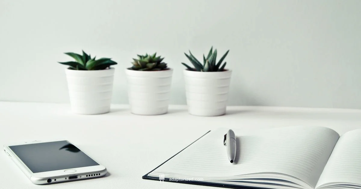 Lightning USB Adapter - Adaptorized