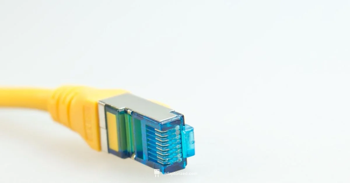 DIY Ethernet Termination - Adaptorized