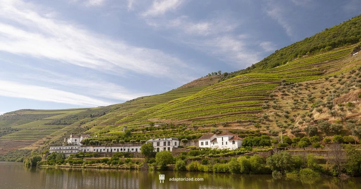 Port Origin Guide Port Origin Guide - Adaptorized