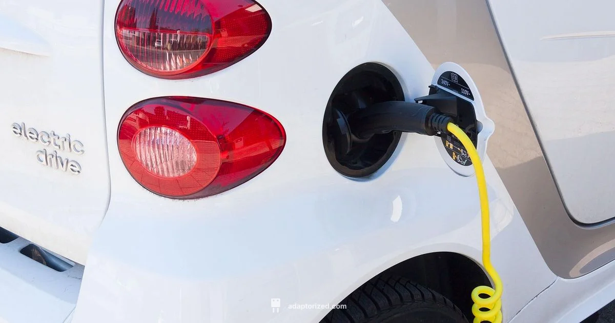 EV Connector Types - Adaptorized