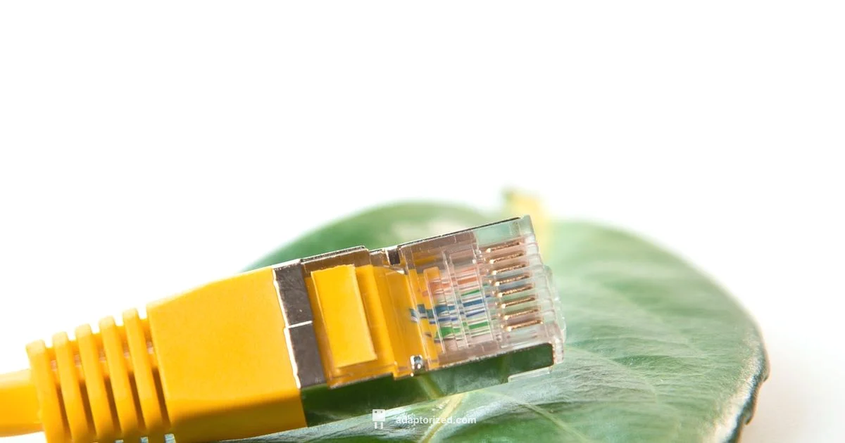 RJ45 Connectors - Adaptorized