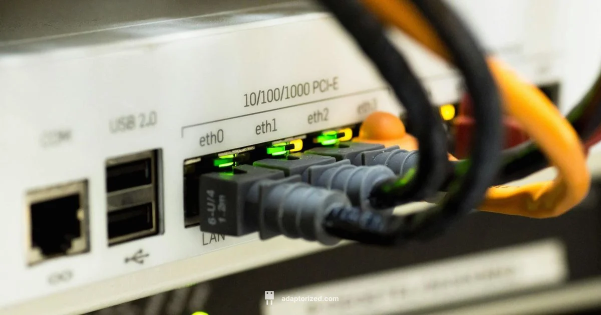 Connection Speed - Adaptorized