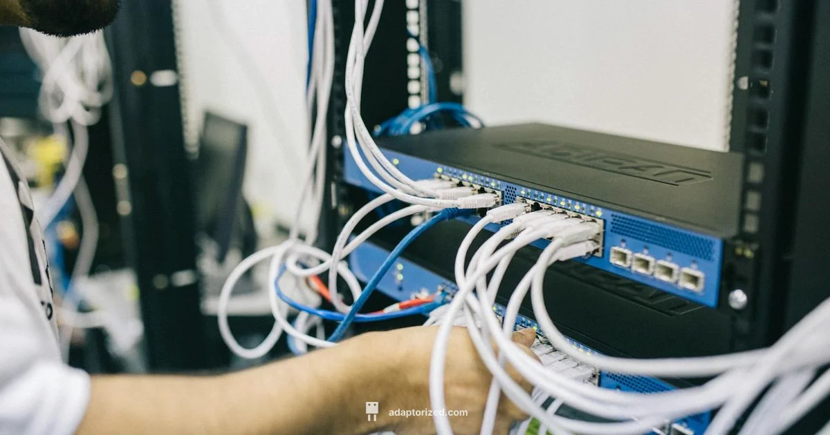 Ethernet Connection Basics - Adaptorized