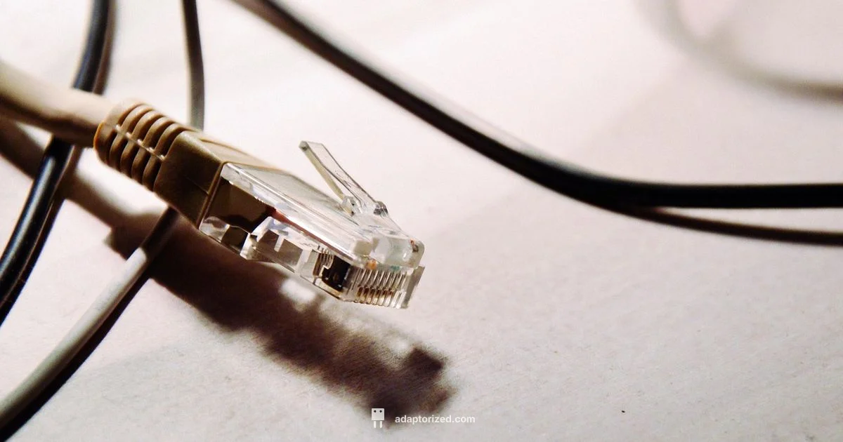 Best Ethernet Cables - Adaptorized