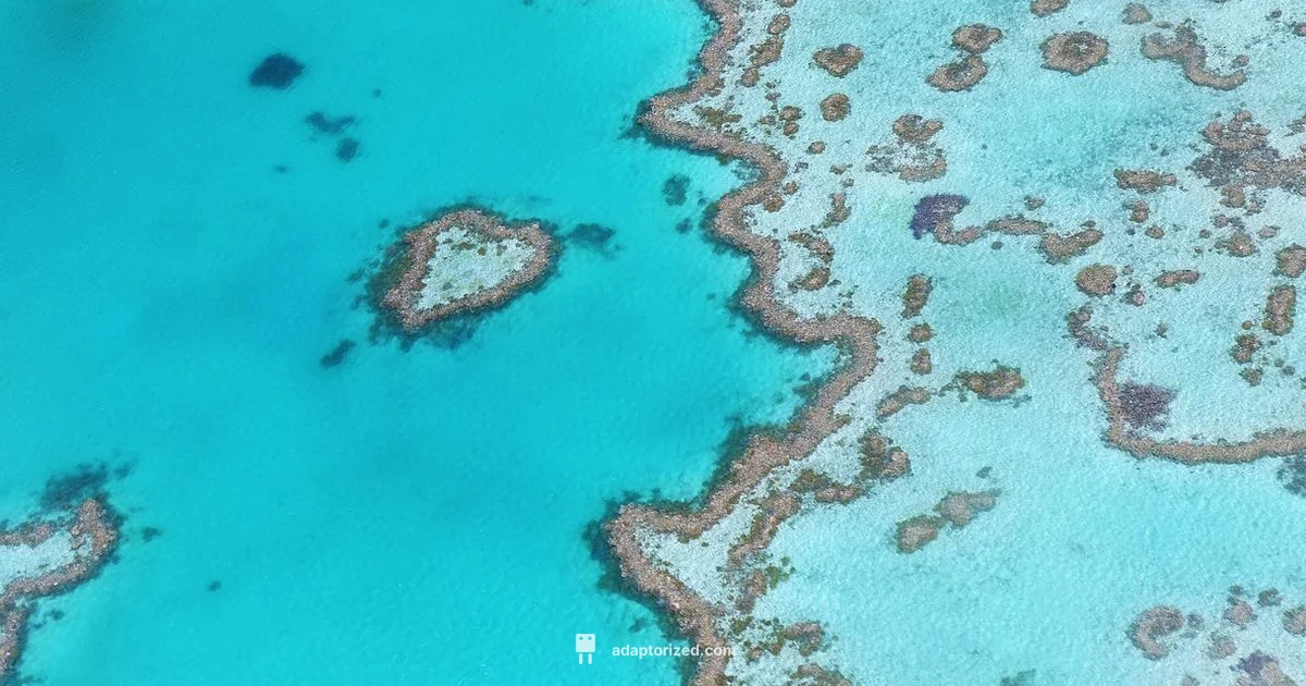 Family Day in PD - Adaptorized