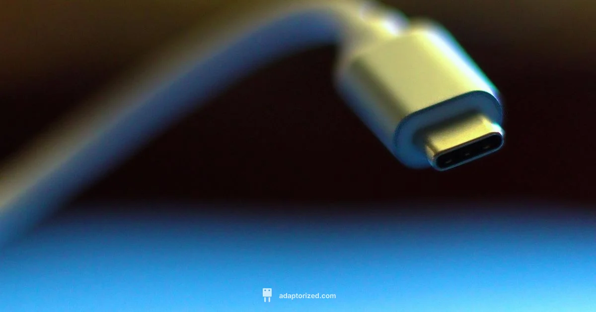 Adapter vs Charger Guide - Adaptorized