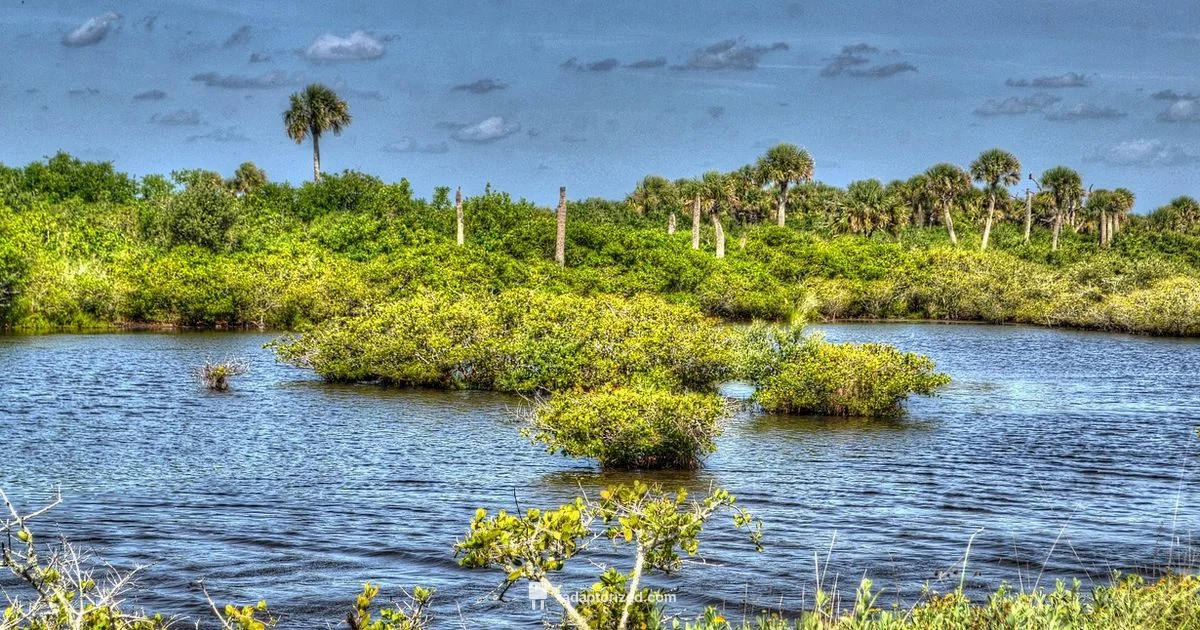 Port Canaveral Location - Adaptorized