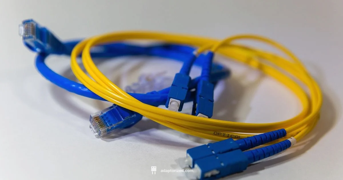 Connection Speed Check - Adaptorized