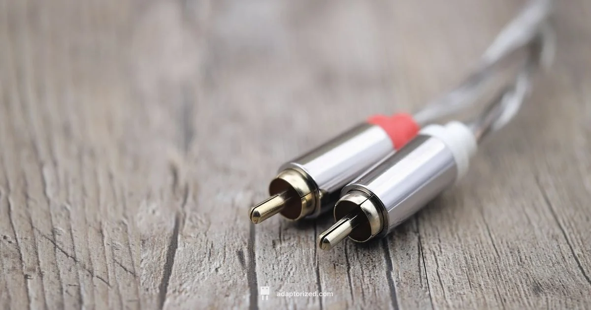 RCA to Wire Guide - Adaptorized