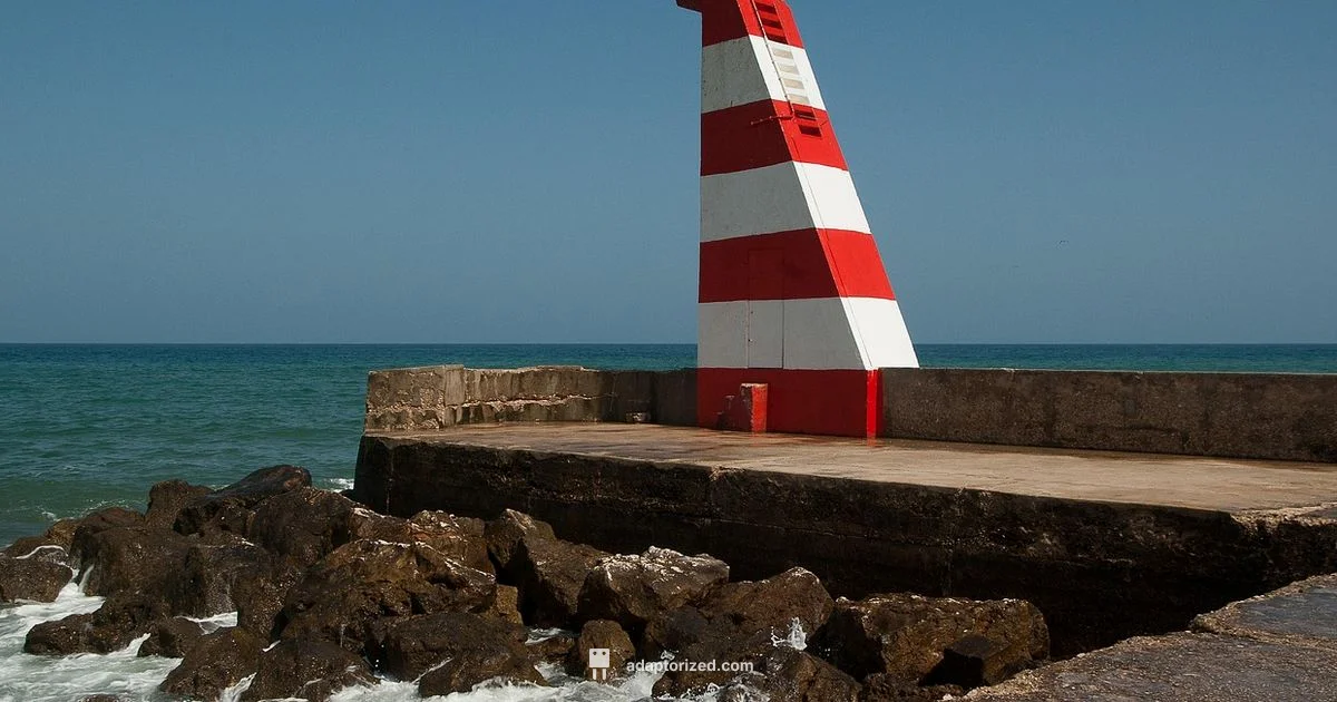 Disable Dock Port - Adaptorized