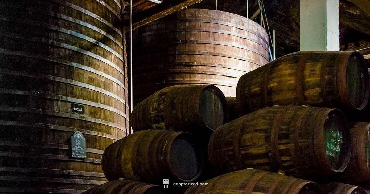 Opened Port Storage - Adaptorized