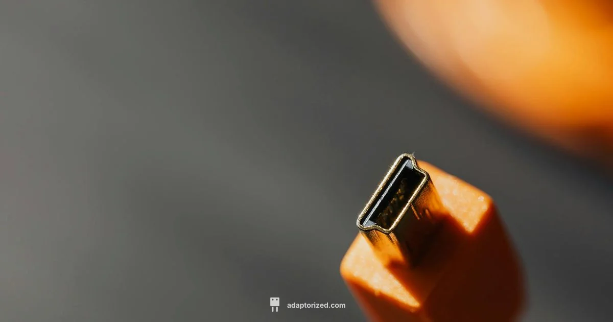 USB Pinout Essentials - Adaptorized