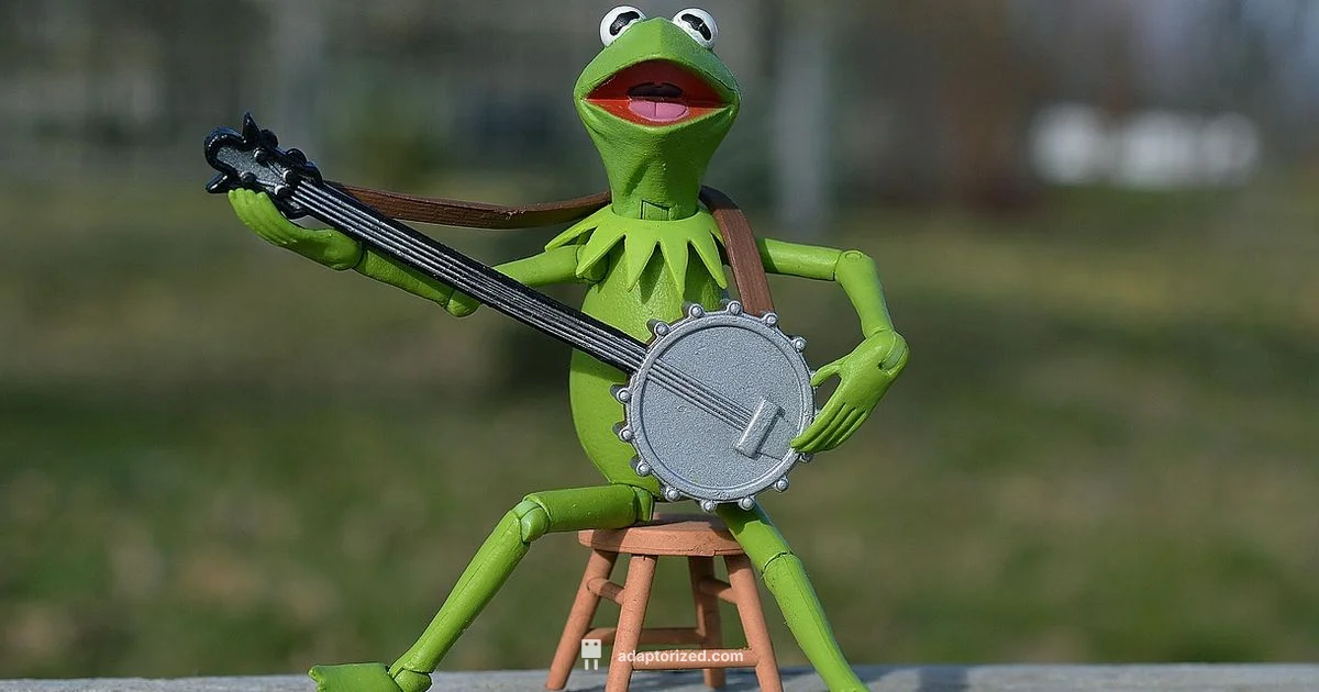 Rainbow Meaning - Adaptorized