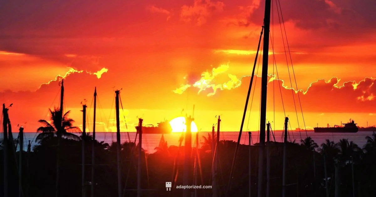 Is Port Worth Visiting - Adaptorized