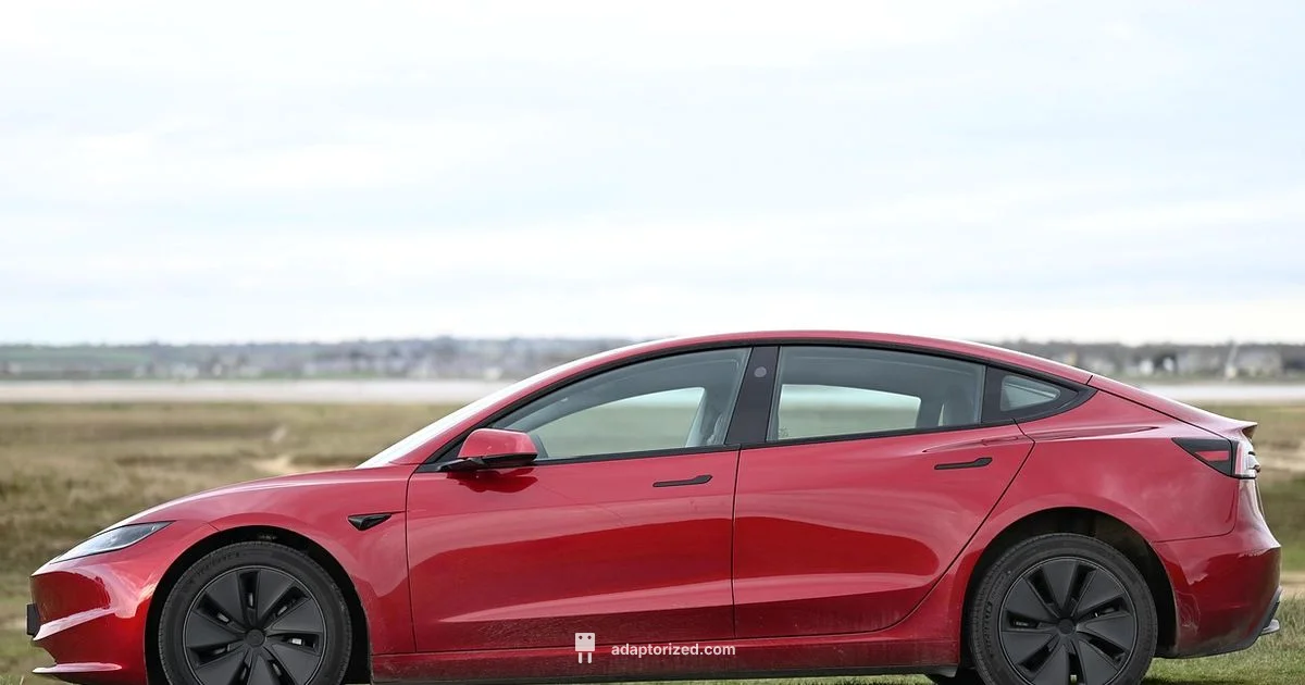 Hardwired Reality - Adaptorized