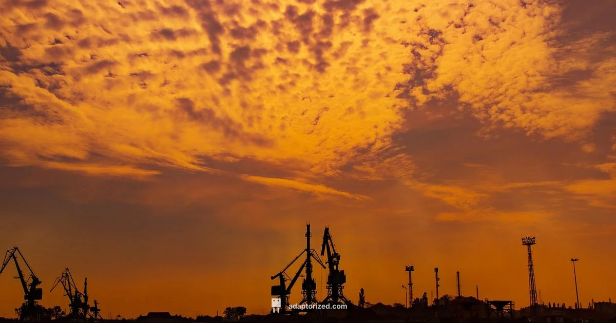 Port Pay Basics - Adaptorized