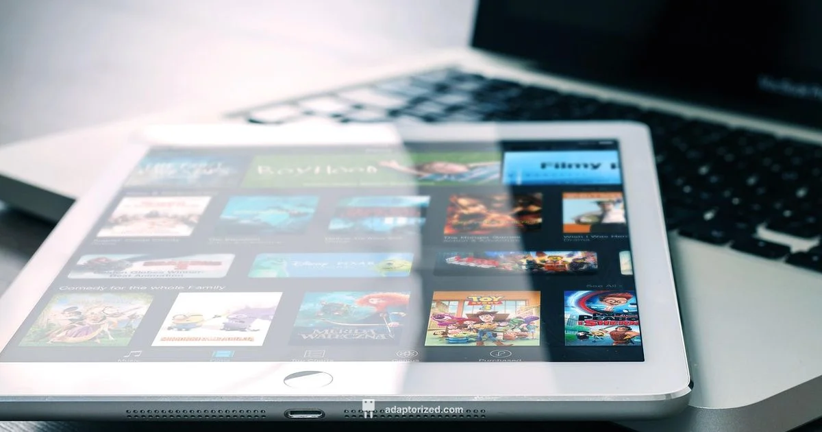 HDMI Setup - Adaptorized