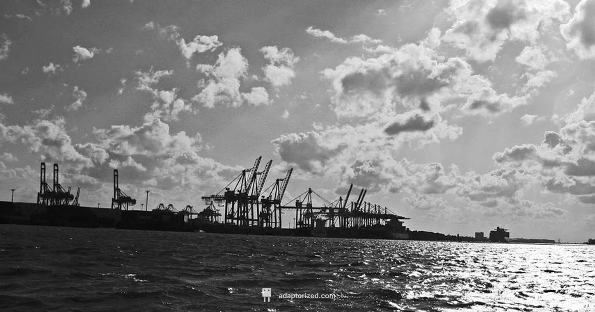 Port vs Dock - Adaptorized