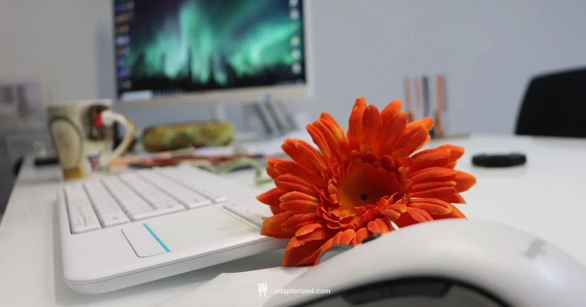 Internet Troubleshooting - Adaptorized