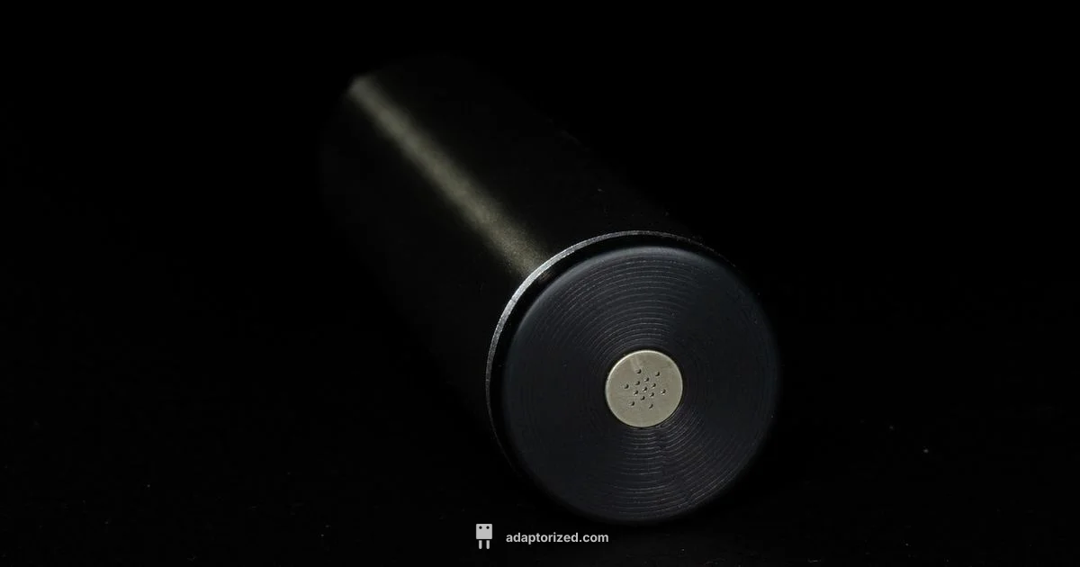 XLR to RCA Guide - Adaptorized