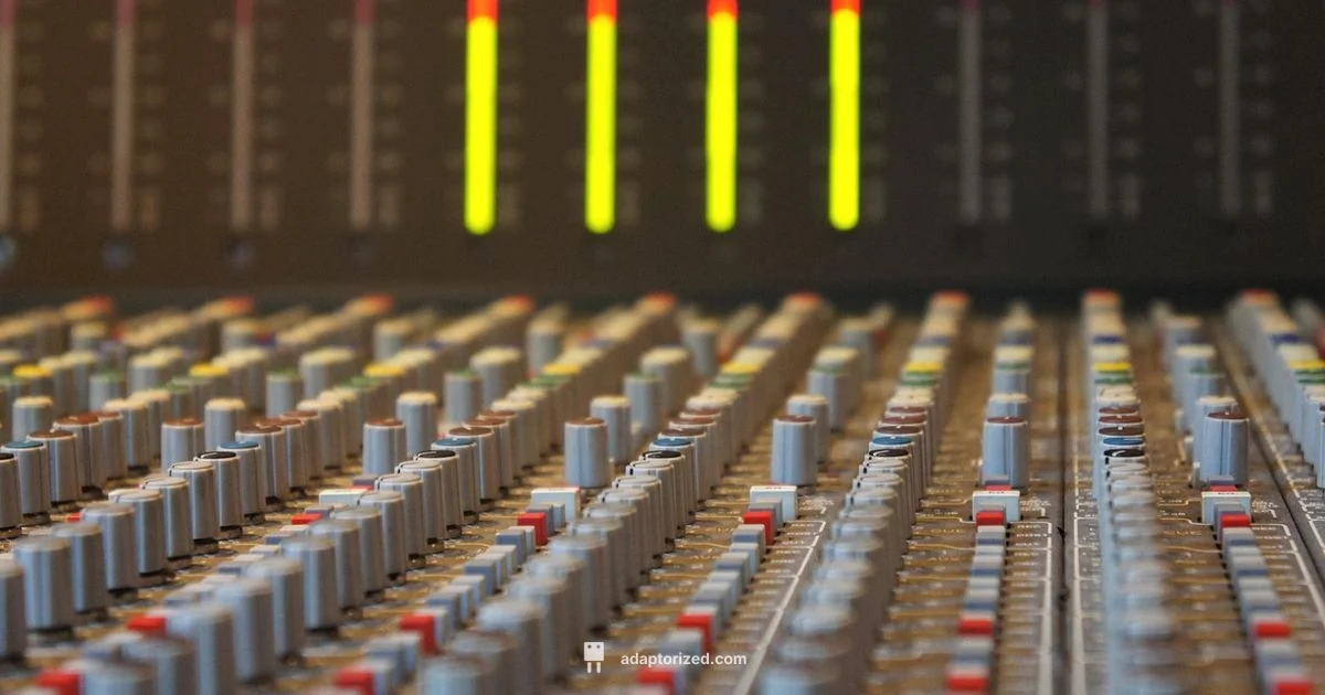 XLR Plug Essentials - Adaptorized