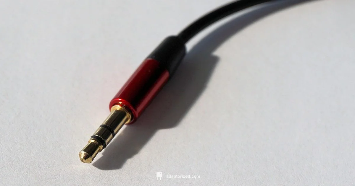 Japan Plug Adapters Japan Plug Adapters - Adaptorized