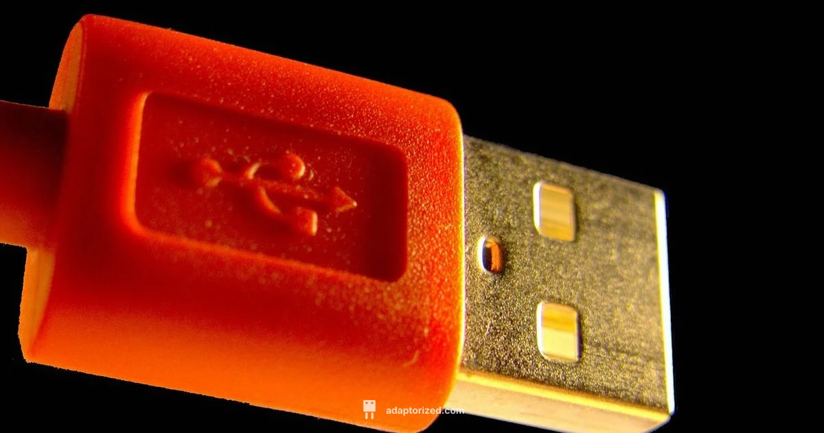 Type B Connector Guide - Adaptorized